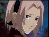 Guest_sakuraxbloom