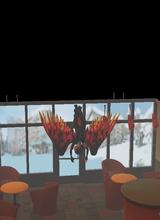 Guest_messwidmenduintroubl
