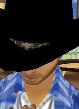 Guest_MikeLns