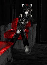 ThievusRaccoonus94