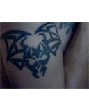 Guest_dcoolrick