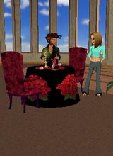 Guest_auckmande