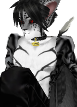 negi0kun