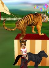 Guest_XxDogLover234