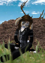 Jackalope