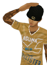 FinestLegend
