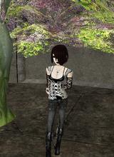 avatar picture