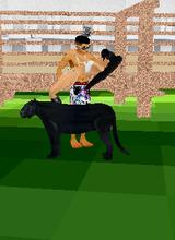 Guest_liljoe1995