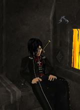 Guest_Bee293