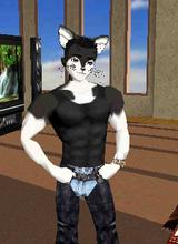 avatar picture