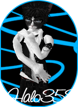 halo353
