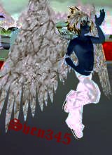 Guest_Sven345