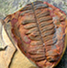 Guest_pivotal