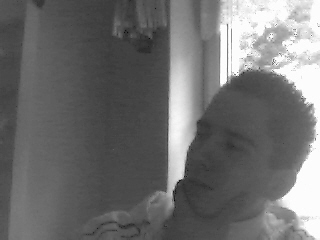 Guest_Wolle1707