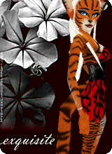 Guest_MadameSexyback