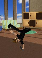 Guest_Bashir01