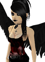 Guest_yesseniag13