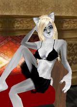 Guest_sheltas_disabled_26639967