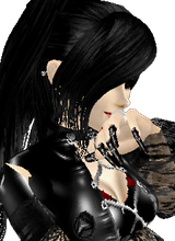 Guest_xCerberusKerberosx