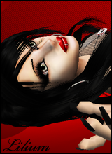 lilium