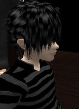 Guest_WolfFang887