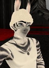 avatar picture
