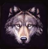 Guest_ZXMikeZX