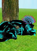 avatar picture
