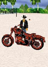 Guest_GhostRiderInTheSky