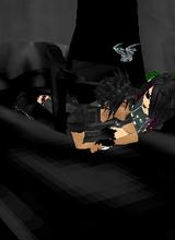 Guest_norris666
