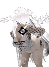 UsicUsikM