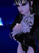 KATONYA65