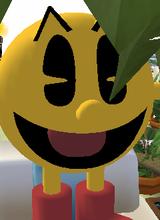 Guest_Chabecca