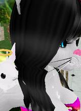 Guest_meowxXD