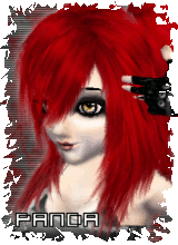 XxPunkPanda