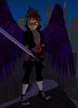 Guest_ness360