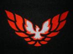 Guest_firebirdman96
