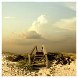 Guest_XxloveneverhappensxX