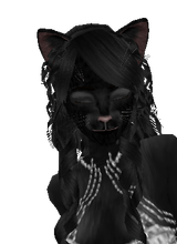 CallistaCat