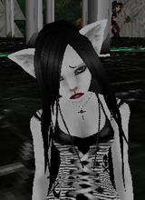 Guest_RenHindu