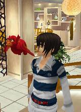 avatar image
