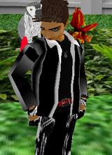 Guest_kikagory