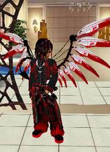 Guest_joey4477