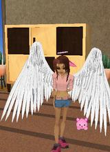 Guest_kary5115