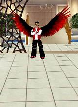 Guest_DSJ2