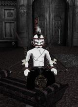 Guest_stevo66669