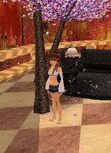 Guest_dancergirl3758