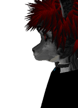 Guest_LukeUnordinary