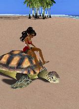 Guest_zarafbaybee