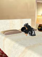 Guest_GestKimo